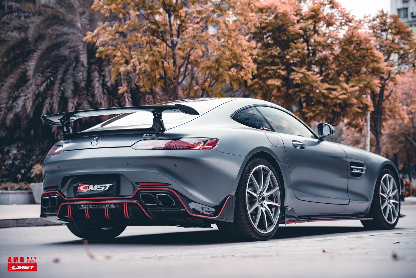 Carbon Fiber Side Skirts for Mercedes Benz C190 AMG GT GTS 2015+